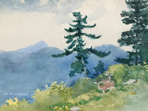 A watercolour landscape on textured paper: pines and a deer on a hillside, mountains beyond