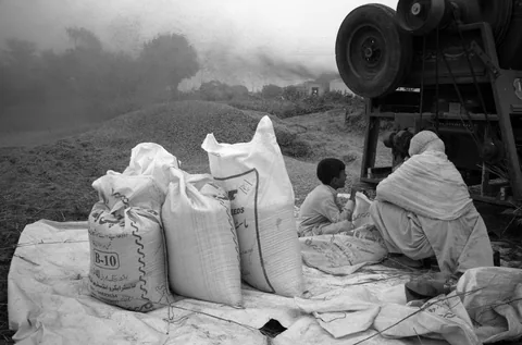 Work by Arif Mahmood, plate 19