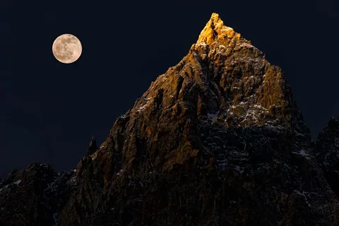 Work by Atif Saeed, plate 4