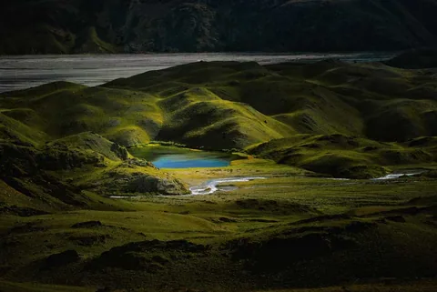 Work by Atif Saeed, plate 5