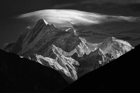 Work by Atif Saeed, plate 7