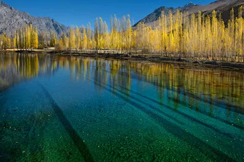 Work by Atif Saeed, plate 14