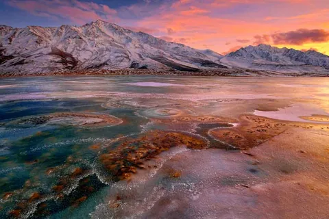 Work by Atif Saeed, plate 15