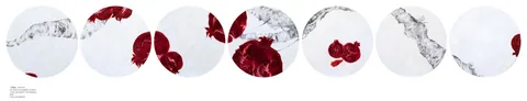 Work by Laila Rahman, plate 8