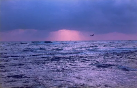 Work by Lala Rukh, plate 8