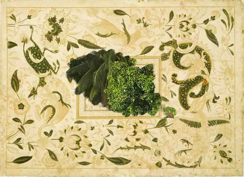 Work by Saamia Ahmed, plate 4