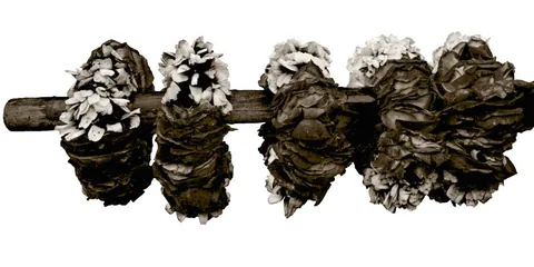 Work by Syeda Farida Batool, plate 2
