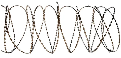 Work by Syeda Farida Batool, plate 6
